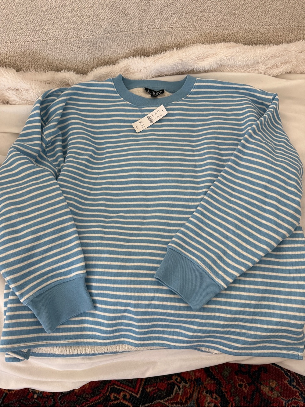 J. Crew Light Blue and White Striped Crewneck Sweatshirt